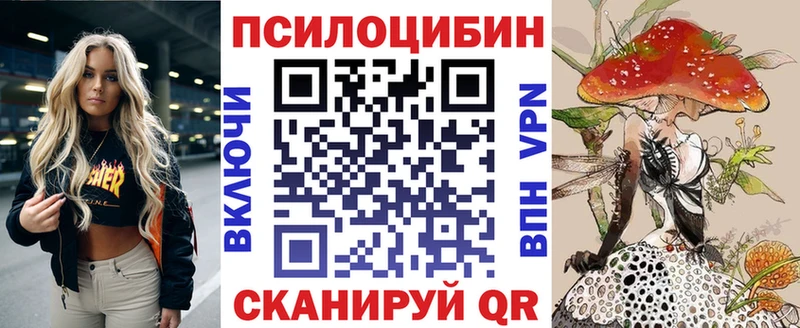 Псилоцибиновые грибы мицелий купить Ессентуки